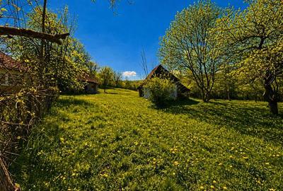 Casa traditionala,zona pitoreasca,domeniu de 3.400 mp,Suveica,Acatari,Mures - 3