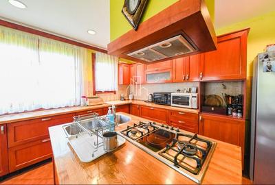 Vila/Proprietate Speciala, 500mp utili, 3300mp teren, Sangeorgiu de Ms - 25