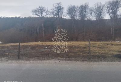 Teren 500 mp cu utilitat- Zona Drumul Tarpiului - 1