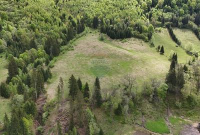 Extravilan + Intravilan | Sătic-Rucăr | Cadru natural | Turistic - 5