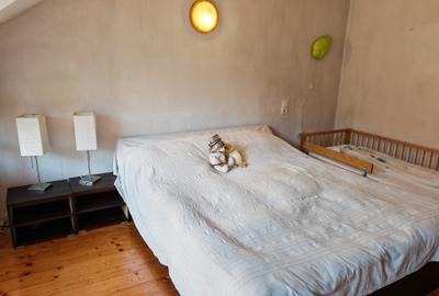 Casa 4 camere libera la vanzare, pozitie deosebita VULCAN - 16
