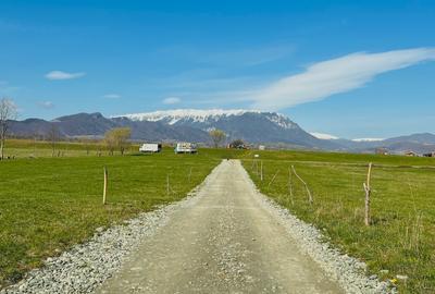 Teren intravilan Râșnov – Glejerie  5 parcele x 1000 mp  Capăt Str. Greierilor - 6