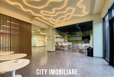 Spatiu comercial 250 mp + terasa 70 mp, Grigorescu, Parter, Ideal HoReCa   Showr - 3