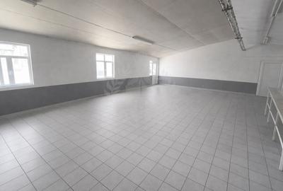 HALA PRODUCTIE/DEPOZITARE/BARIERA BUCURESTI - 6