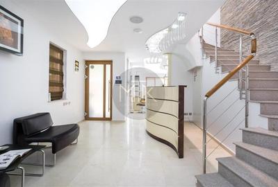 Proprietate premium cu curte – ideala pentru business-uri | LACUL TEI - 15