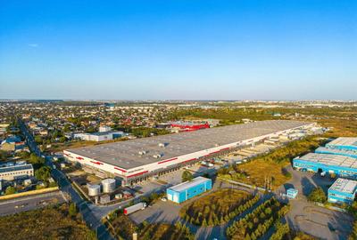 Teren Construcții intravilan de 2356 mp, în Chitila