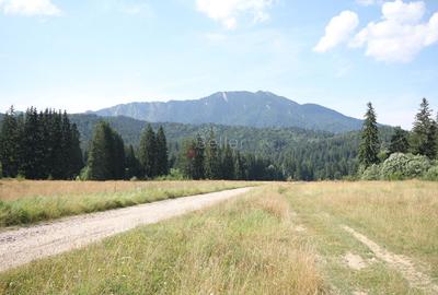 Poiana lui Manole - teren Intravilan - 14