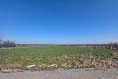 Teren Construcții extravilan de 3800 mp, în Exterior Nord