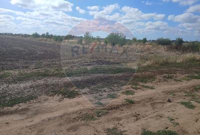 Teren de vanzare 4500mp Strada Rasaritului Darvari Ciorogarla A0 - 2