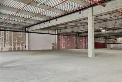 Spatiu Industrial - 9500 mp - Logistica - Productie - Depozitare - Distributie - 13