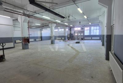 Spațiu industrial, 3600 mp în Theodor Pallady