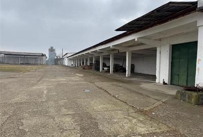 Hala industriala de vanzare in Harlau, 11.500 mp utili, teren 44.268 mp - 3