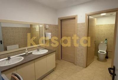 Spații de birouri premium de închiriat | Băneasa Offices - 9