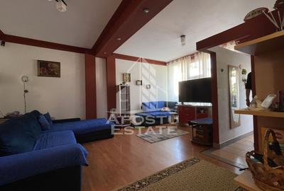 Casa Freidorf Timisoara - 3