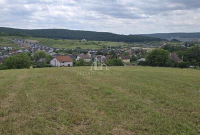 Parcele Teren de Vanzare(PUZ facut) 500 Mp, Str Progresului, Livezeni - 7