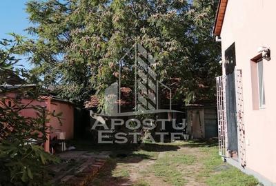 Casa individuala de vanzare in zona Iosefin, Timisoara, teren 458 mp - 9