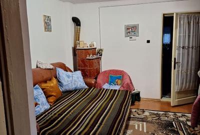 Casa  si curte, un singur nivel - 8
