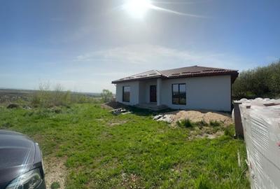 TAUTII DE SUS, casa pe 1 nivel 150mp -semifinisata, 5ari teren ! - 8