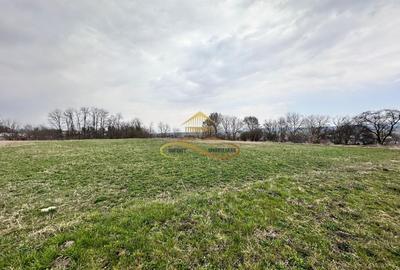 Teren de vanzare Blagesti Bacau - 2