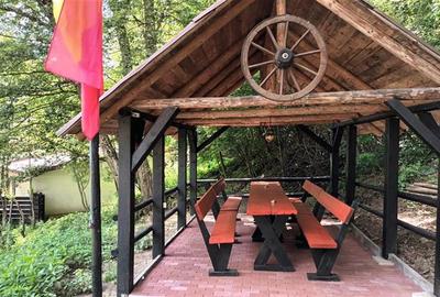FILM! Pensiune turistica+Casa+transfer afacere+teren,Cheile Rasnoavei,Brasov - 8