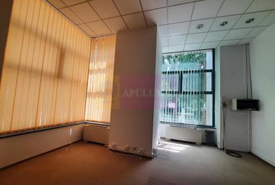 Inchiriere spatiu comercial bd Unirii, vitrina 25ml, stradal - 4