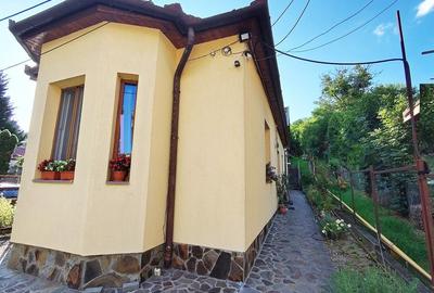 Casă individuală cu 4 camere în Grigorescu