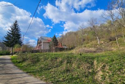 Teren Construcții intravilan de 1800 mp, în Brebu Megieșesc