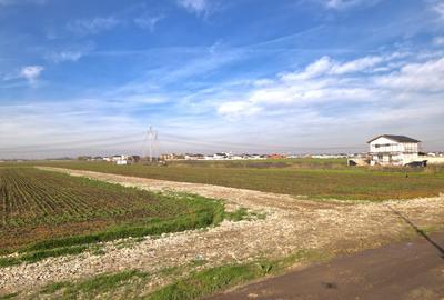 Teren Construcții intravilan de 500 mp, în Berceni