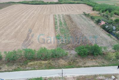 Teren intravilan de vanzare, Bihor - 10