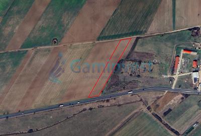 Teren intravilan de vanzare cu PUZ aprobat, cu vad la E671, Oradea - Nojorid - 4