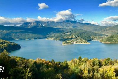 Teren Buhalnita,Hangu - 1