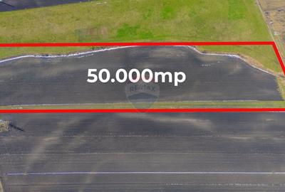 Teren 50.000 mp în Prejmer în spatele parcului industrial - 4