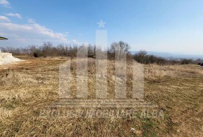 Teren intravilan | 1040 mp | 24 ml deschidere | Podei - 2