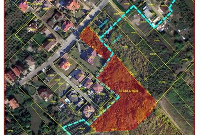Teren situat pe Gheorghe Doja - partial intravilan/partial extravilan - 1