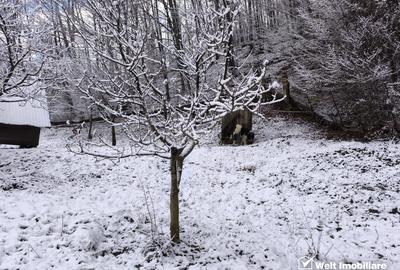 Casa de vacanta, cu lac, 5640 mp teren, Huta, com. Chiuiesti, jud. Cluj - 51