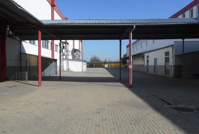 Hala industriala cu pod rulant de inchiriat Lugoj - 7