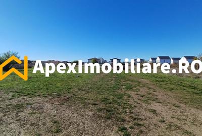 Corbeanca - Tamasi | Teren 1225mp, deschidere 44ml | Utilitati la 50m - 9