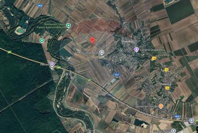 Teren Construcții intravilan de 7000 mp, în Stoenești (Florești-Stoenești)