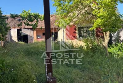 Casă de cărămidă în Sustra ,Topolovatul Mare cu teren de 1522 mp. - 15