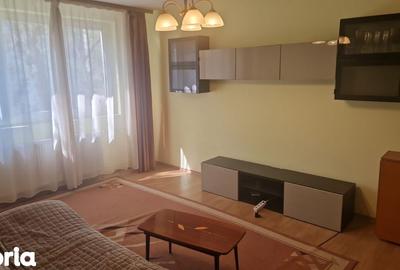 Închiriere 2 camere langa parc, zona linistita, luminos, mobilat complet - 8