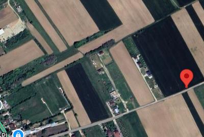 Teren intravilan case 10.000 mp, Str Sportului, Ulmi - 8