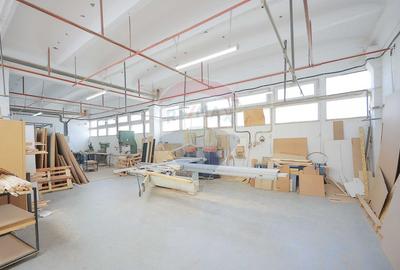 De vânzare spațiu industrial PGS Sofa, calea Borșului - 32