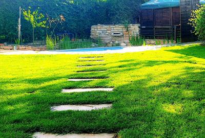 Pensiune de vanzare in Costinesti la doar 0.9 m distanta de plaja - 9