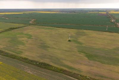 Teren investițional strategic 44.700 mp Arad Vest - 5