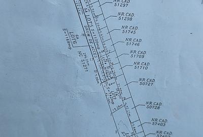 Domnești- Str.Fortului, 742mp, gaze, lumină - 6