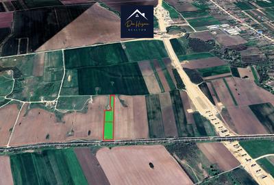 Teren 1,5 ha Domnesti langa Autostrada A0 - 1