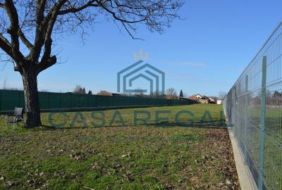 Teren 3500 mp împrejmuit, central, Biharia, lângă Profi, utilități - 10