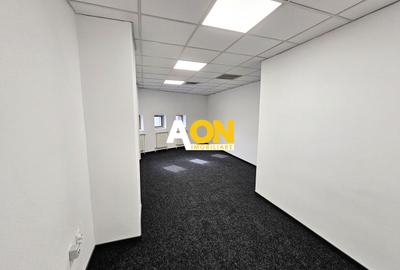 Spatii de birouri, suprafata flexibila, 12 euro/mp, utilitati incluse. - 12
