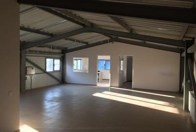 Spațiu industrial, de 260 mp, în Xenia