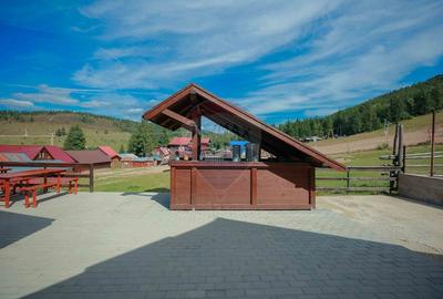 Oportunitate de investiție, Restaurantul Piatra Grăitoare,Vârtop,Bihor - 7